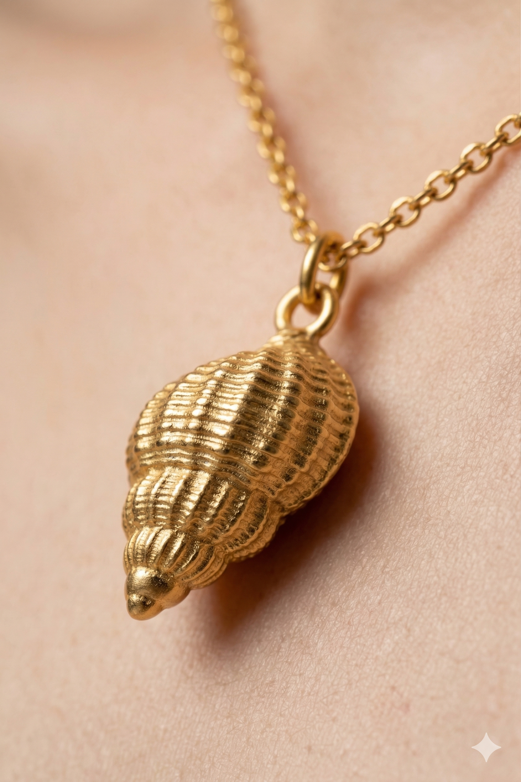 light chain with shell pendent ASH3